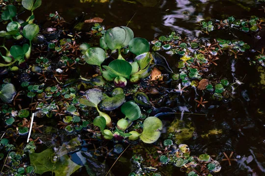 体彩排列五 玩法介绍